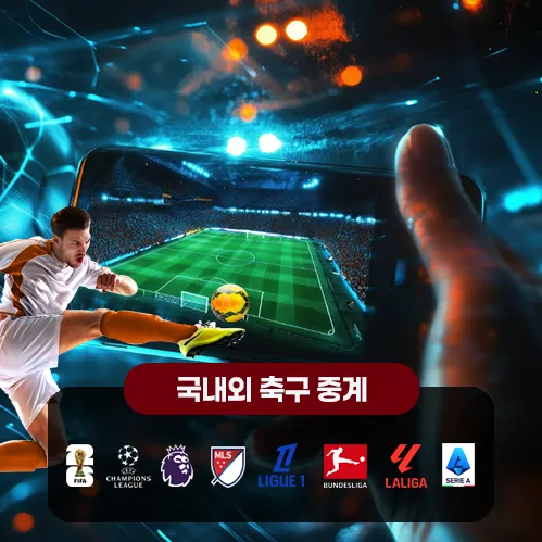 국내외 축구중계